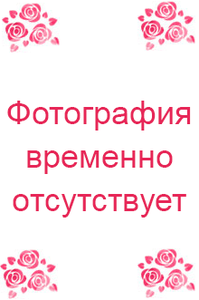 Пелагея Магазин Одежды Ростов На Дону